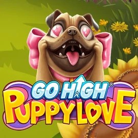 Go High Puppy Love slot icon by RubyPlay, available at RoyalsTiger Casino